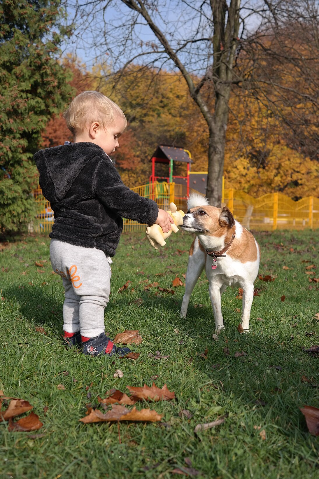Dzieci i pies, czyli jak wyjść cało z rodzinnego spotkania